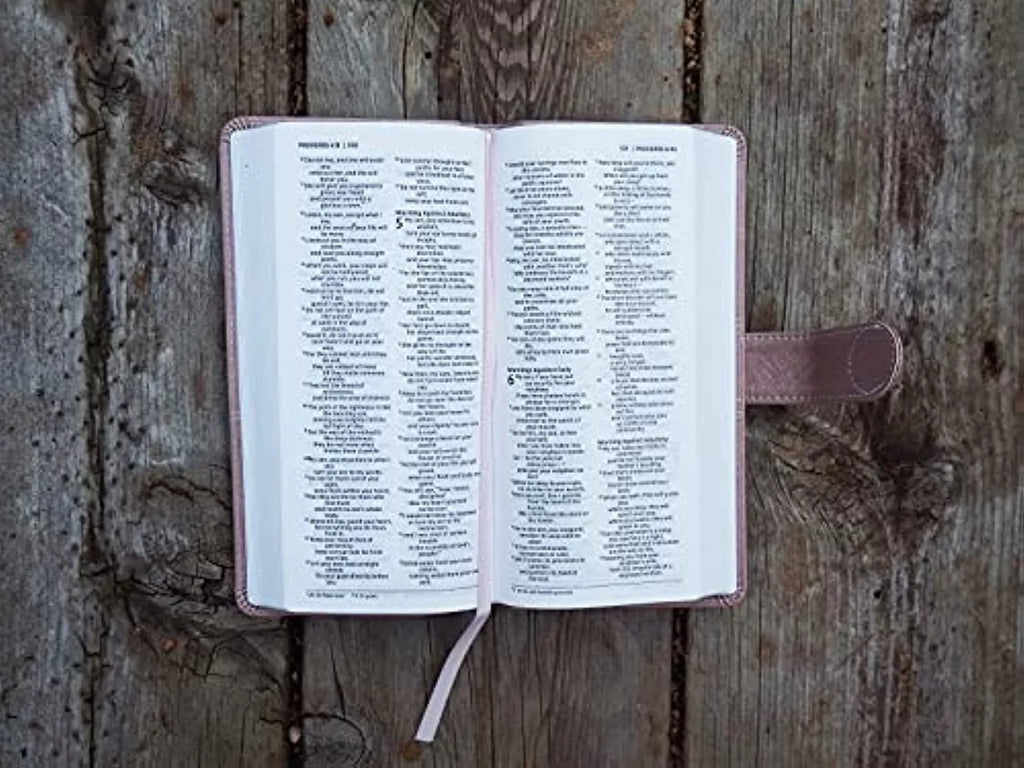 Snap Niv, Pocket Print Leathersoft, Thinline Bible, Red Pink, Letter, Closure, (Other) Comfort