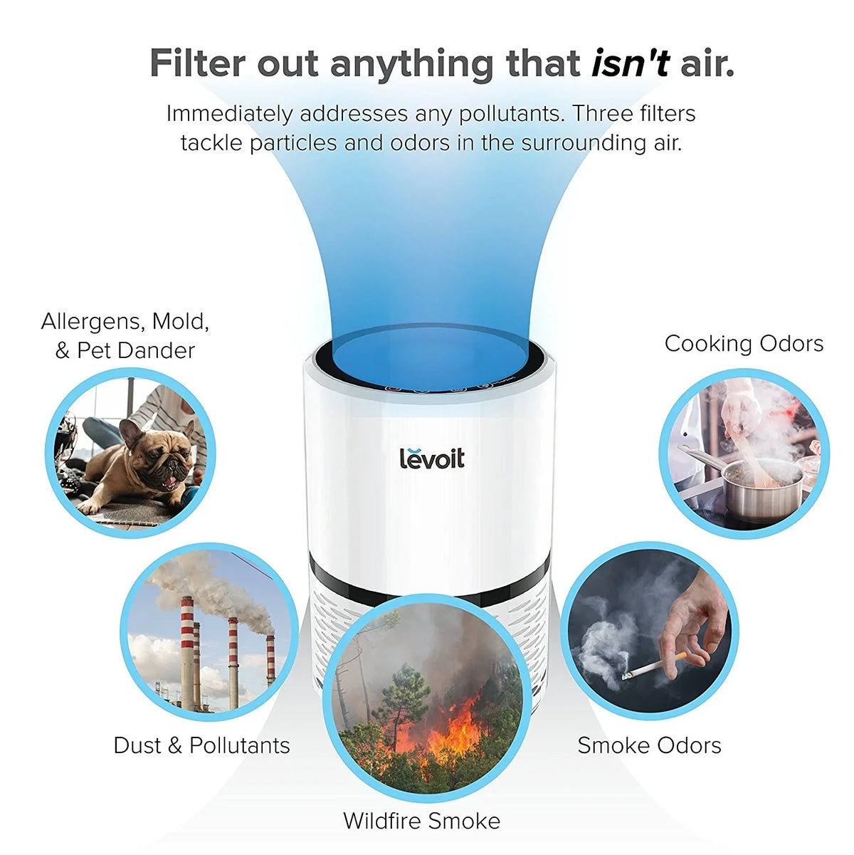 Filter LV-H132 Air and with True Bacteria, Hepa Purifier LEVOIT More for Smoke,
