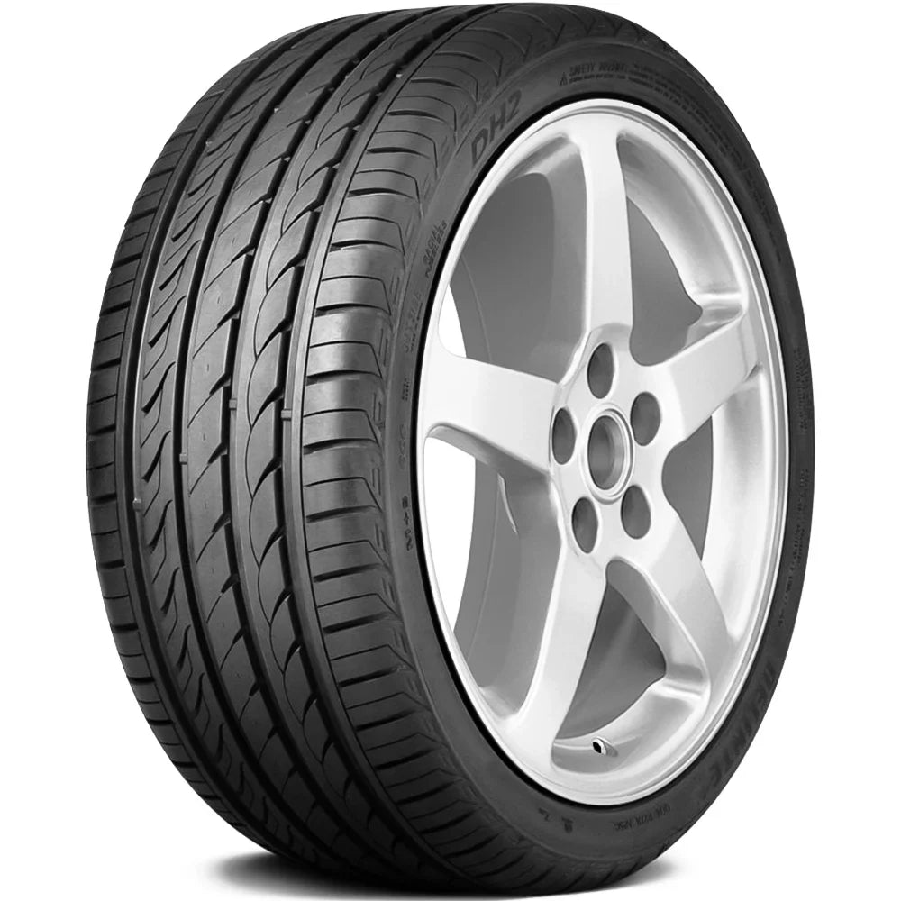 A/S 101Y XL 2014 Delinte Mustang Premium 255/40R19 Season All Ford GT, Ford EcoBoost DH2 2015-23 High Mustang Tire Performance Fits: