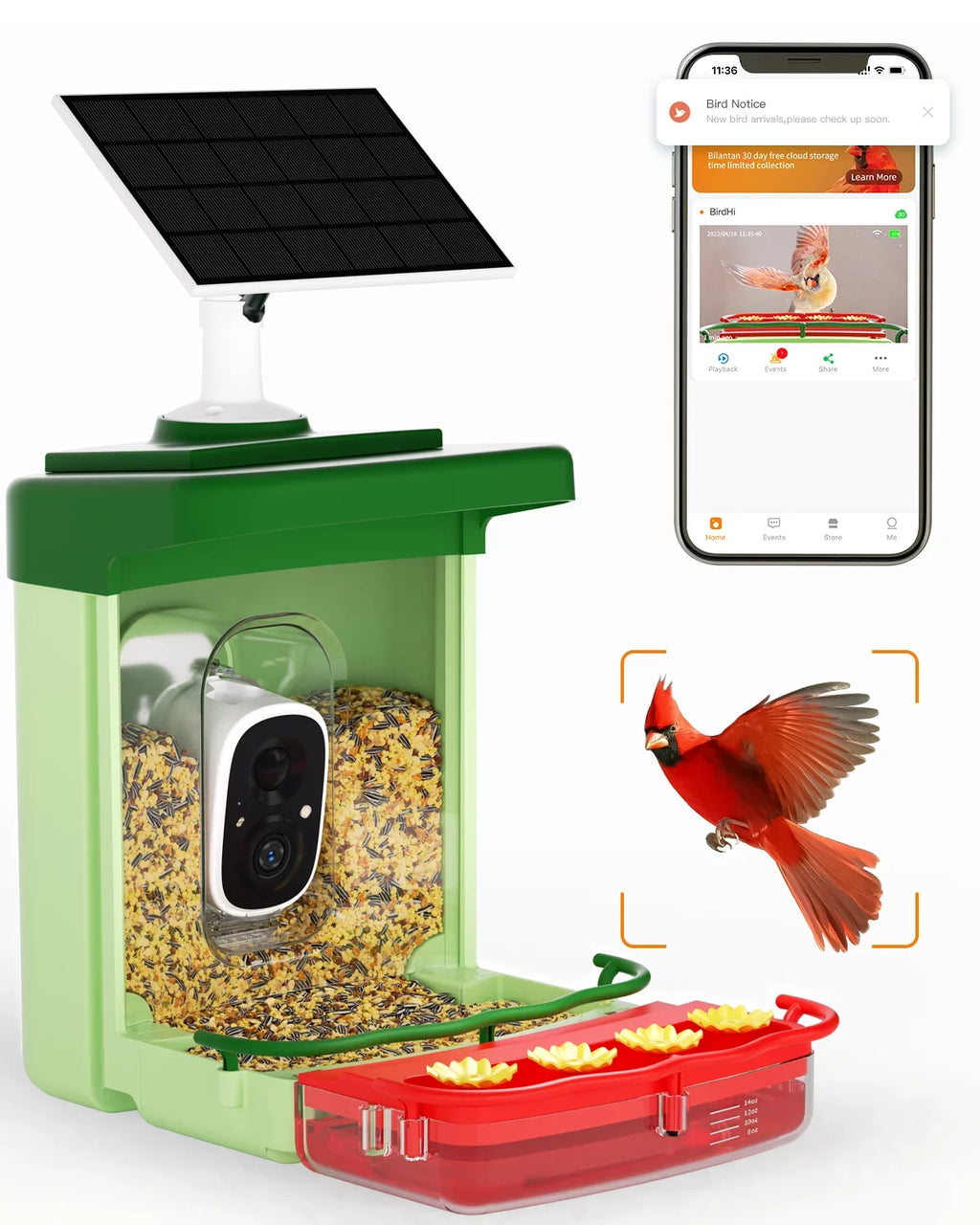 Anyone Ideal Bird Feeder Camera, in 2 HD of Capture Feeders Species, for with Gift Unique 1 Auto Camera, Birds 3MP with Camera with Hummingbird Bird Identify Close-Ups AI