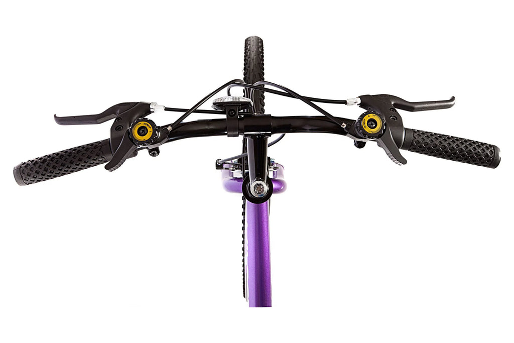 Wildcat Black and Women's Purple Mountain 18-Speed Titan Bike,
