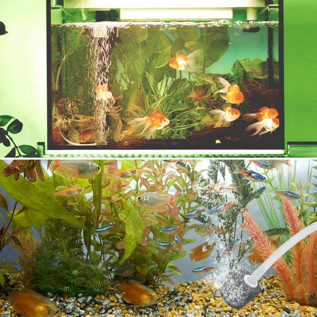 1.5W with Solar Air moobody Fish Air Oxygenator Stone Bubble Small for Pump & Ponds Pipe Pump Fish Fishing Aerator Circulation Tank Rechargeable Pools 5.5V Aquarium Oxygen Pond Tranportation Water