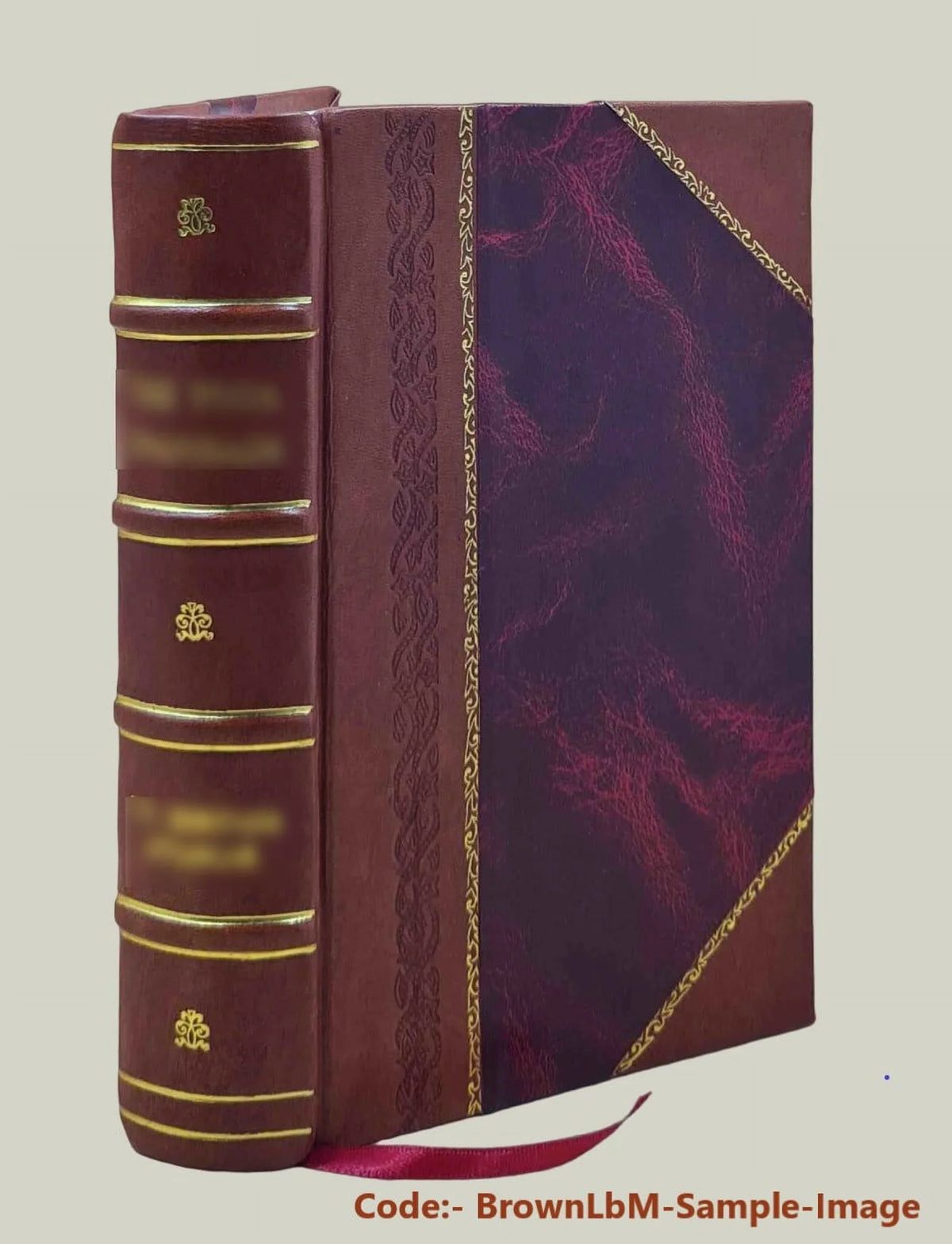 compiled manuscript James with by 1896 History Conn., additions Bound] ; Hill. / Danbury, and by Benedict from 1684-1896 notes left of [Leather Bailey Susan Montgomery