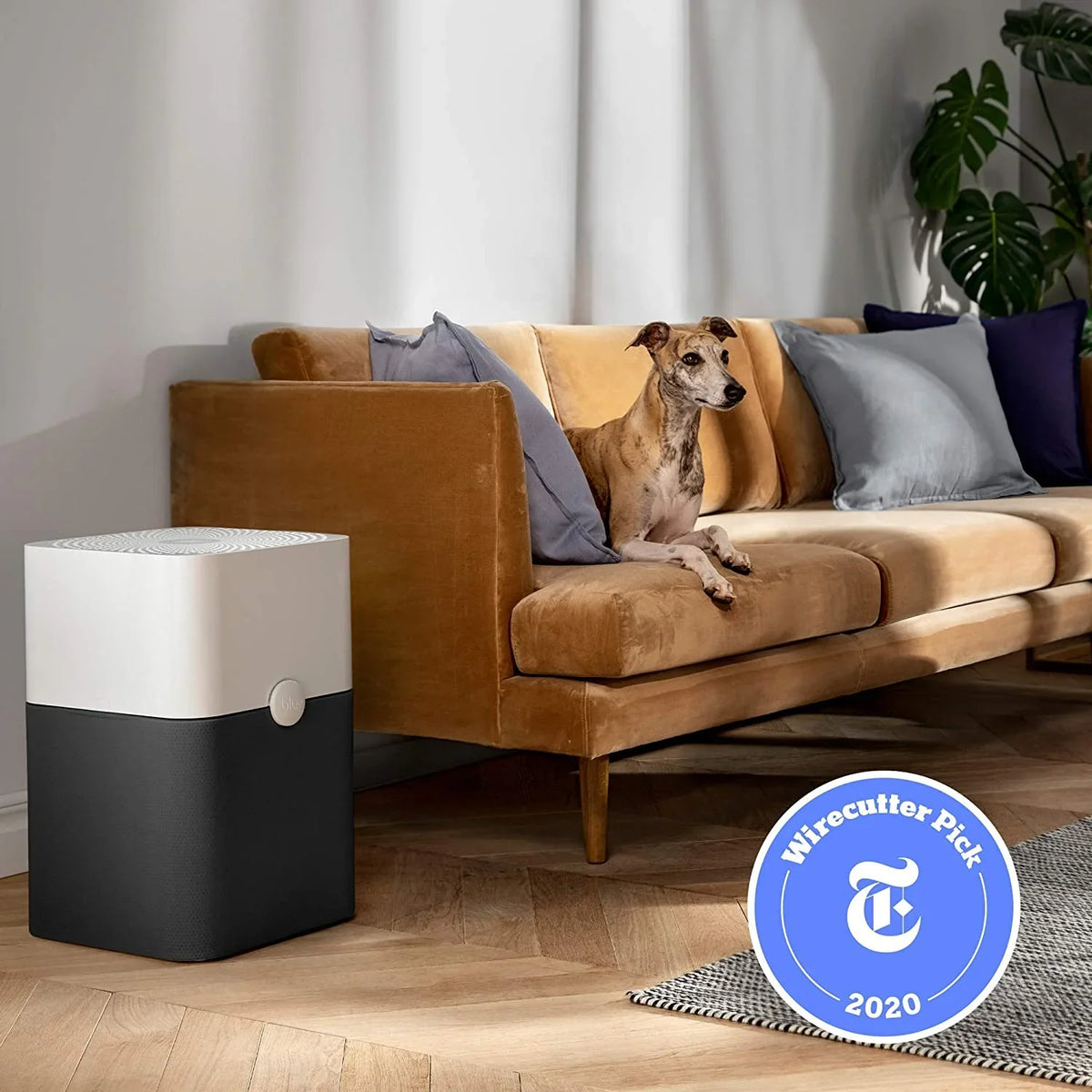 Air Pre-Filters, Blueair Washable Germs, Carbon Mold, Captures Smoke, 211+ Purifier Blue 3 Room Large Stage Allergens, Pure Smokers, Pets, Dust, with Two Filter, Odors, Particle,
