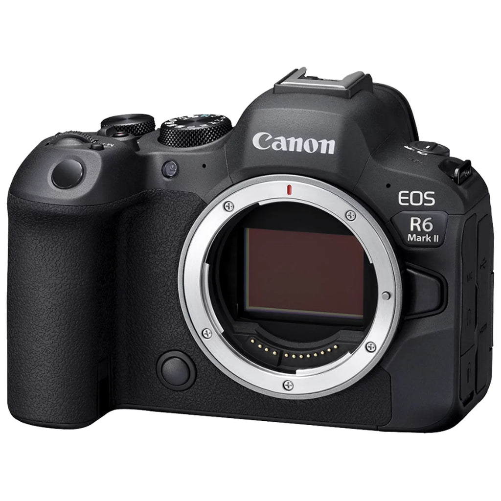 Camera Accessory Lens LED EF 75-300mm + 24-105mm Bundle Mark with Flash + Card II Case ZeeTech + Adapter 128GB Memory EOS SanDisk RF Mount + R6 Canon + + Mirrorless