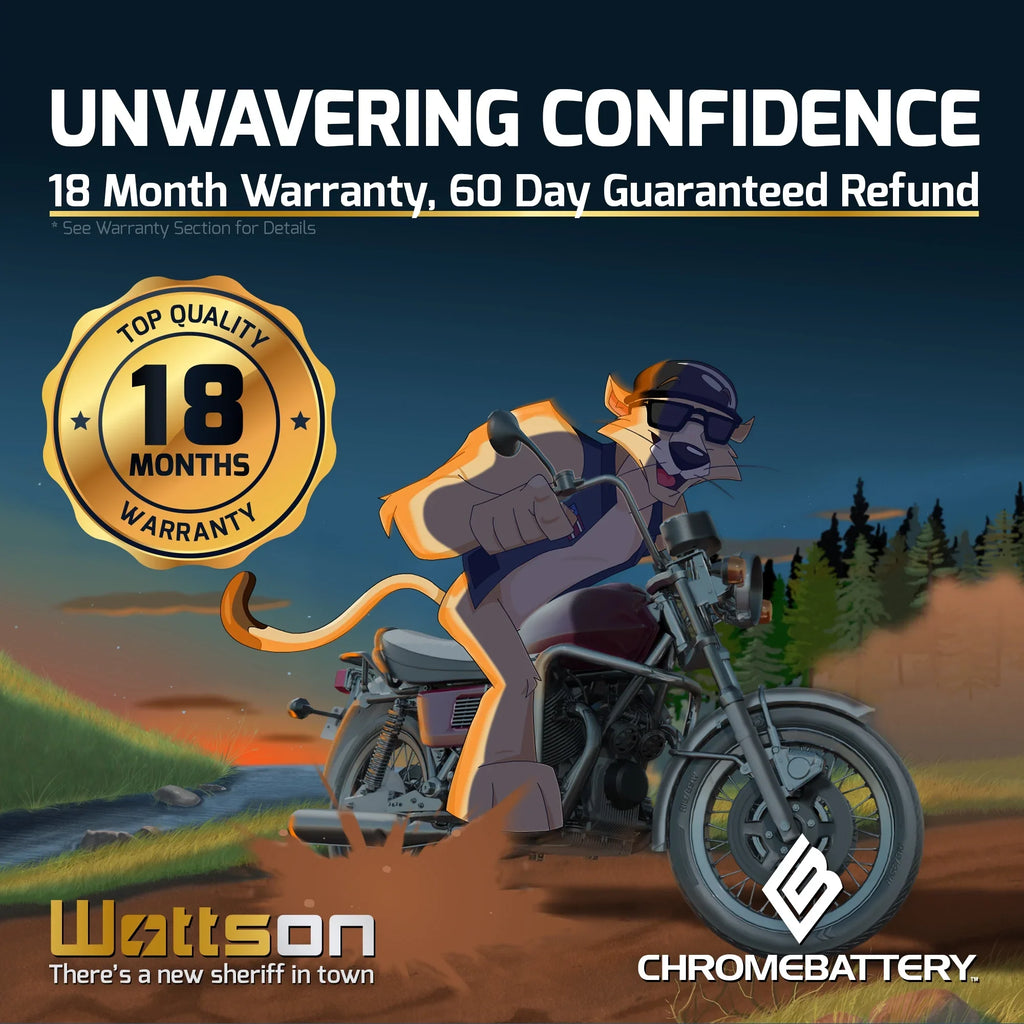 Wave Chrome 12 YTX16L-BS Ah, Battery Battery 1991 Runner CCA) Jet Volt,14 Ski (16L-BS Yamaha for 230