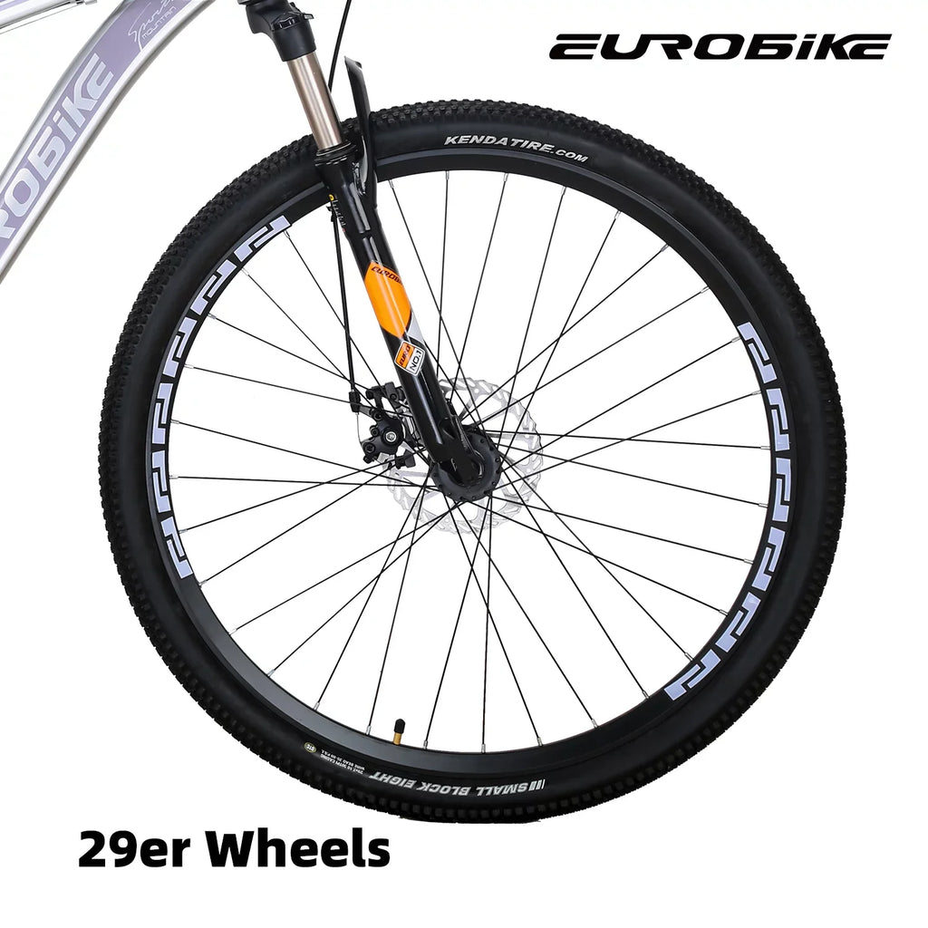 Silver Bike, Adults Bicycle Mountain 21 29er, Multi-Spoke Mountain Aluminum, Brakes, Inches, Mens Eurobike inch X9 19 Speed,Dual Disc Bikes for 29