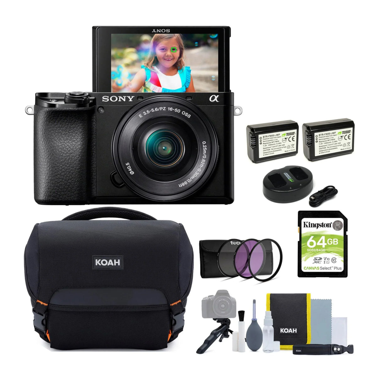 APS-C 16-50mm Lens Mirrorless Sony Bundle with a6100 Camera Alpha