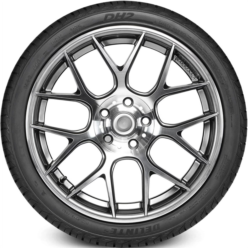 A/S 101Y XL 2014 Delinte Mustang Premium 255/40R19 Season All Ford GT, Ford EcoBoost DH2 2015-23 High Mustang Tire Performance Fits: