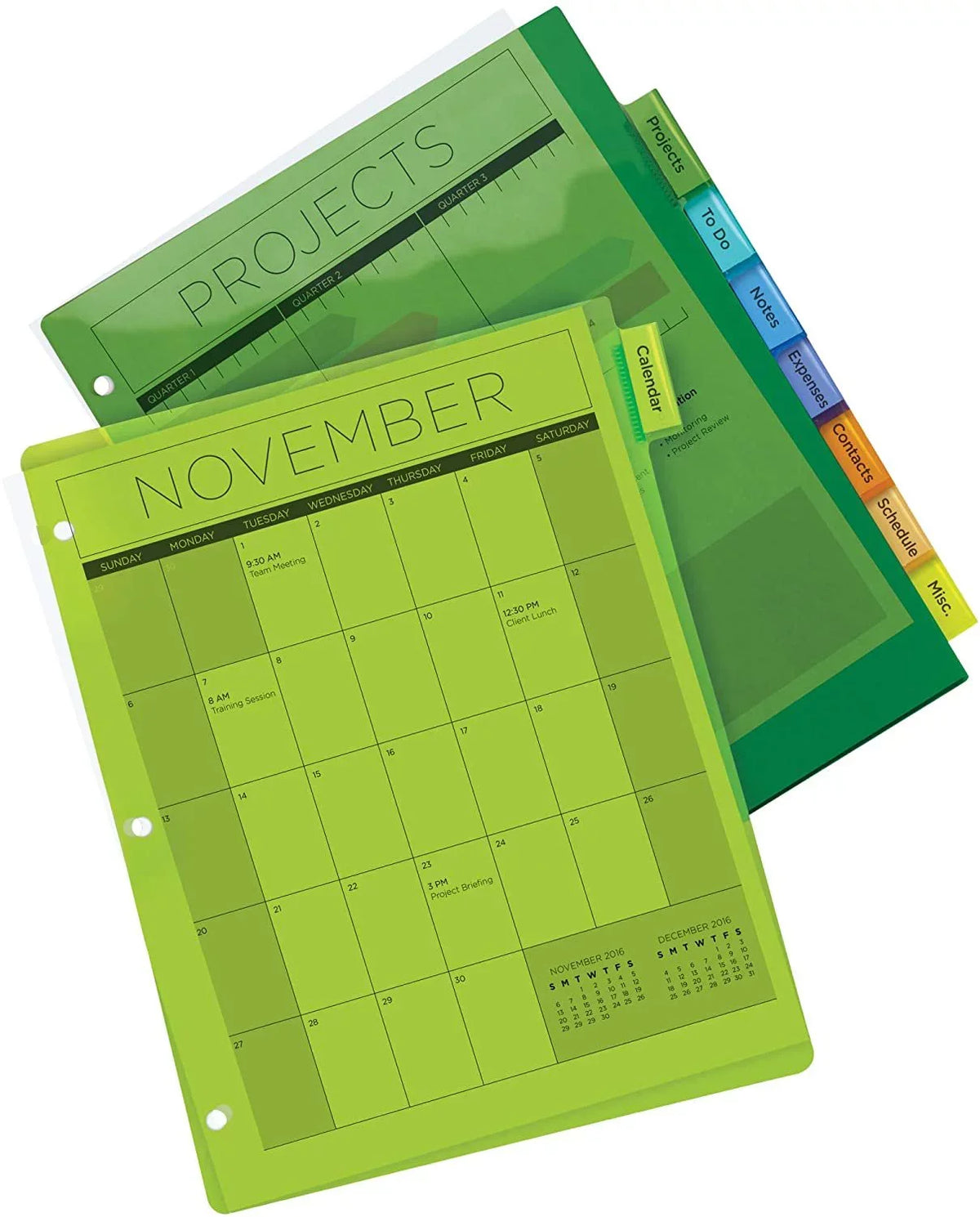 Insertable Big of Multicolor 24 8 Dividers, Case Sets Pack Plastic Tabs, Avery 11901 Tab