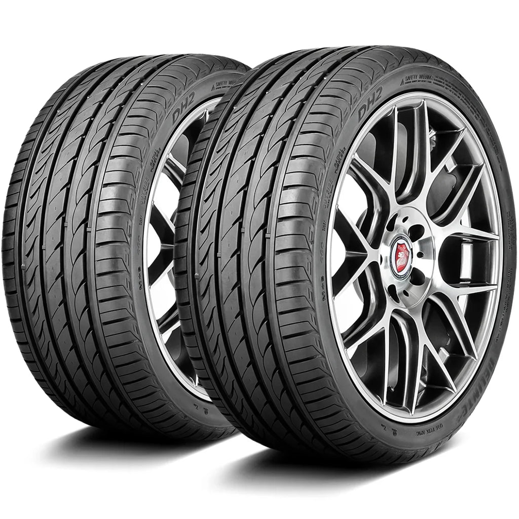 A/S 101Y XL 2014 Delinte Mustang Premium 255/40R19 Season All Ford GT, Ford EcoBoost DH2 2015-23 High Mustang Tire Performance Fits: