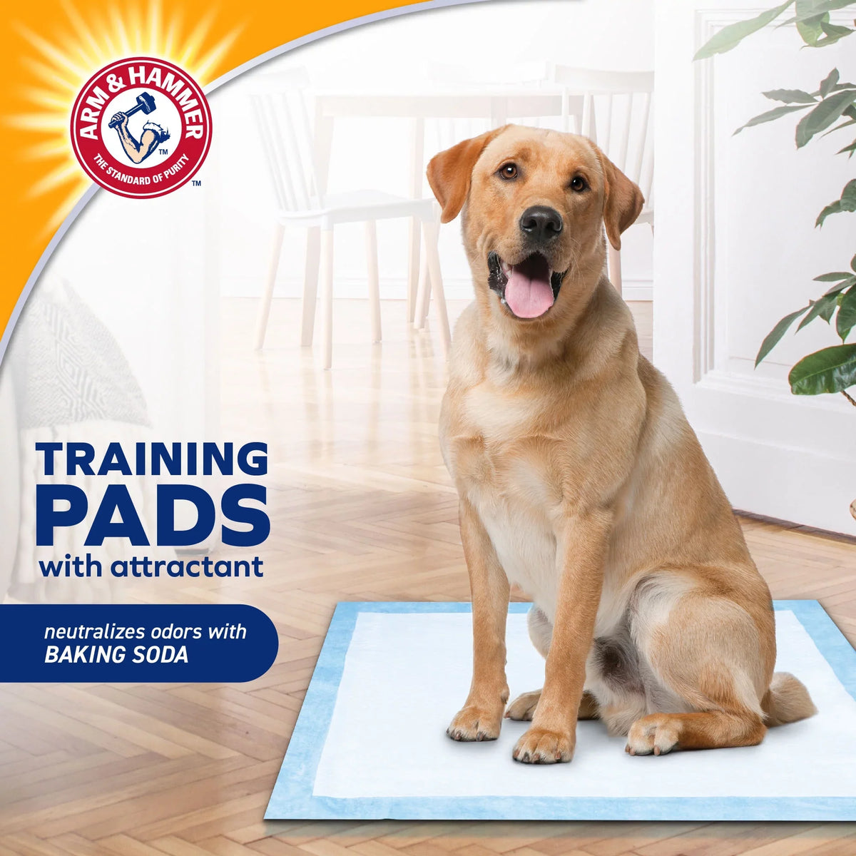 | Arm Puppy Leak-Proof Training Odor for Pads, Dogs Hammer Puppy 200ct Pads Control, &