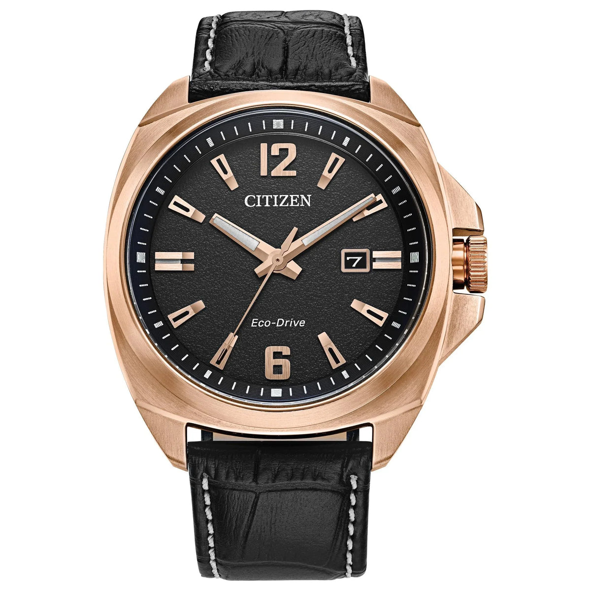 Endicott Eco-Drive Leather Strap AW1723-02E Citizen Watch - Men's Black