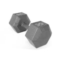 CAP 55lb Dumbbell, Iron Single Cast Hex Barbell