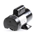 48Y Pool 2-Speed # RPM 3450/1725 Frame Motor Century BN61 2 Electric hp Spa 230V &