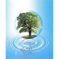 24 with over large full a 20 Poster x A ring with a reflection floats - by water clear sphere tree Print