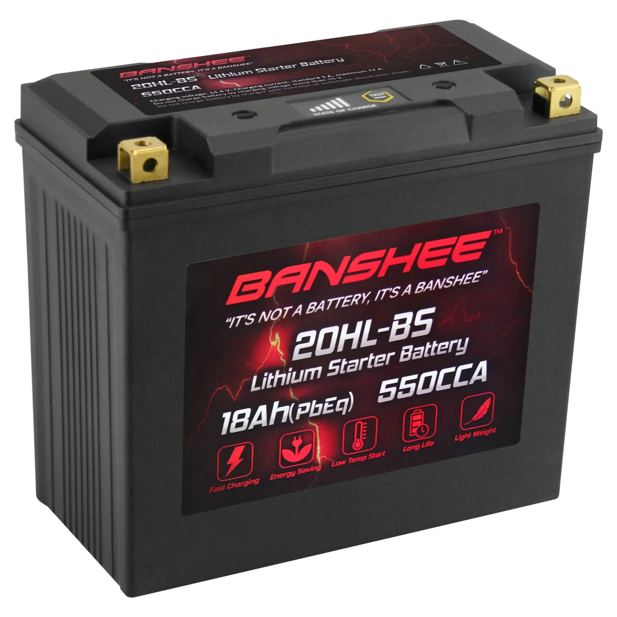 2004 Compatible 2002 Banshee Yamaha LiFePO4 YTX20L-BS with XL700 XL700A Motorsports WaveVenture to Battery