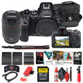'+ LPE6 (5666C011) + Card with Corel R6 Mark Reader Memory Lens External Camera Card Software 24-105mm Photo + f/4 II + Canon + Case + + More EOS Mirrorless Charger Battery 64GB