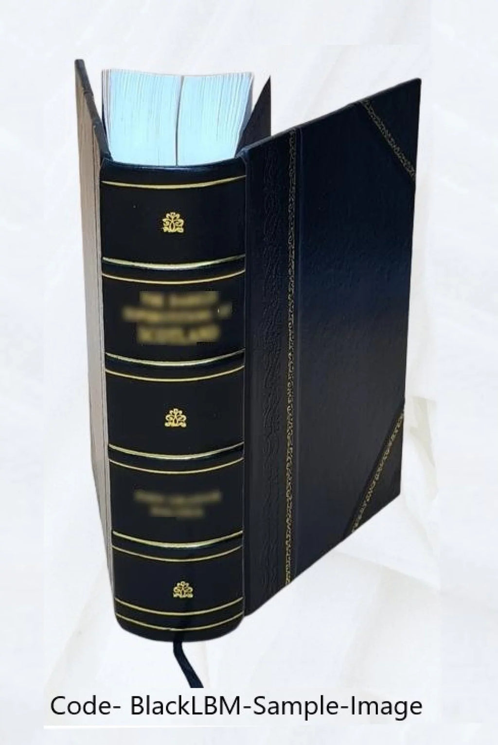 [Leather Théatre 1841 choisi Bound]