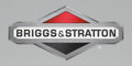 Briggs Stratton & OEM Speed 770813 Kit-Lever,