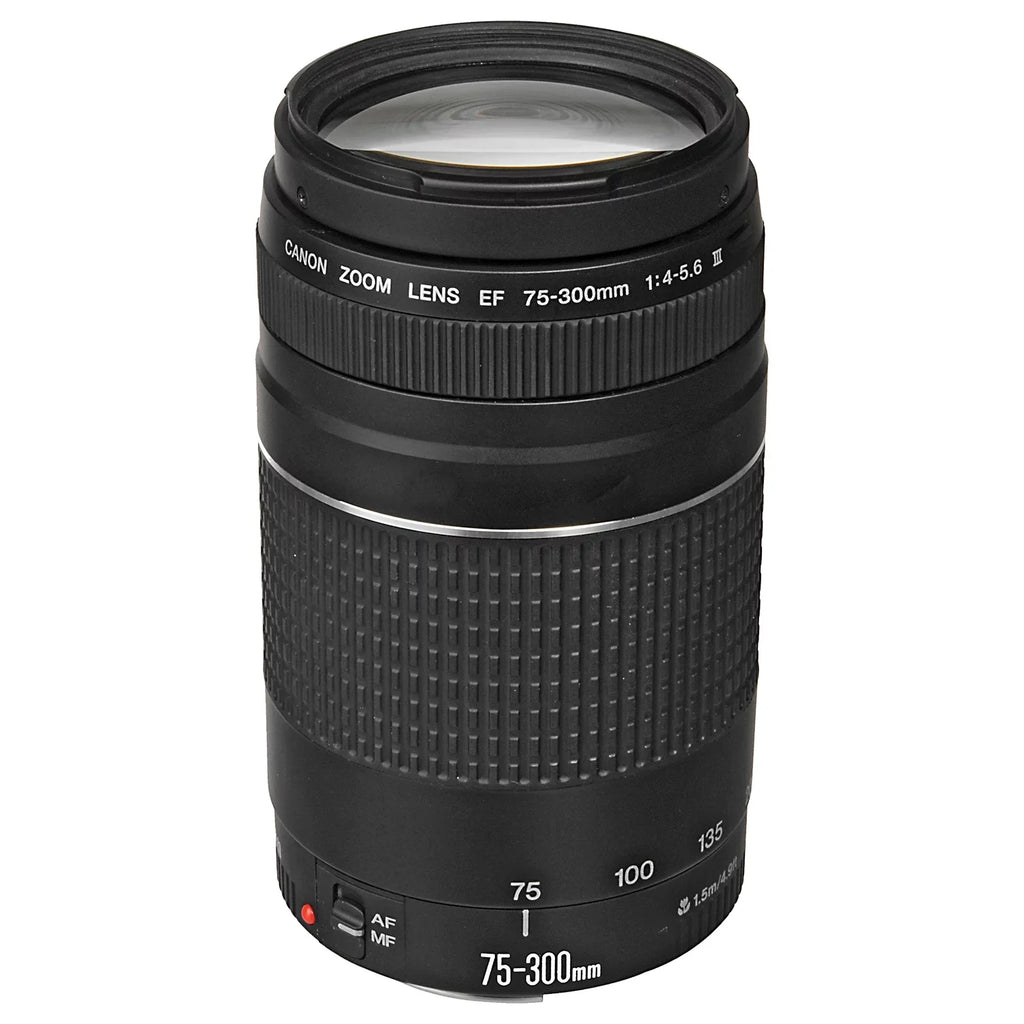 Camera Accessory Lens LED EF 75-300mm + 24-105mm Bundle Mark with Flash + Card II Case ZeeTech + Adapter 128GB Memory EOS SanDisk RF Mount + R6 Canon + + Mirrorless