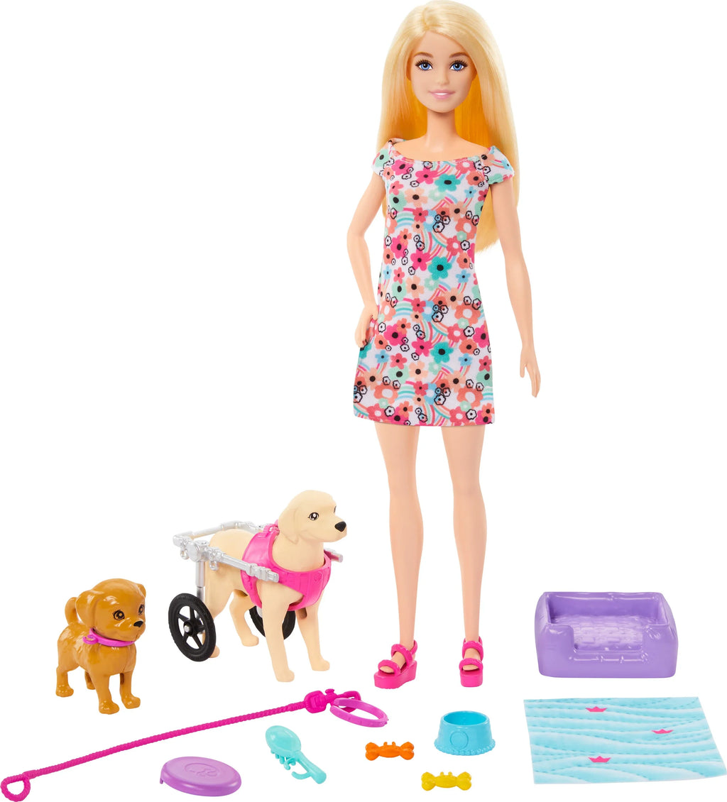 Barbie Wheelchair, a Playset with Pet Plus Pup Toy Dog Pup Multicolor Accessories, and Doll in a
